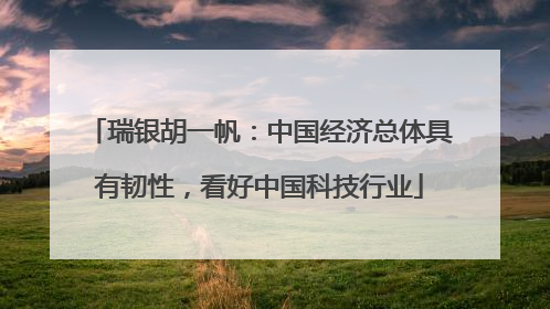 瑞银胡一帆：中国经济总体具有韧性，看好中国科技行业
