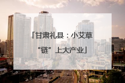 甘肃礼县：小艾草“链”上大产业