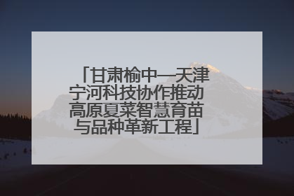 甘肃榆中—天津宁河科技协作推动高原夏菜智慧育苗与品种革新工程