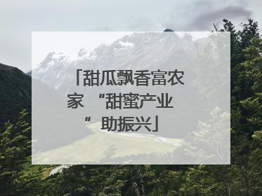 甜瓜飘香富农家 “甜蜜产业”助振兴