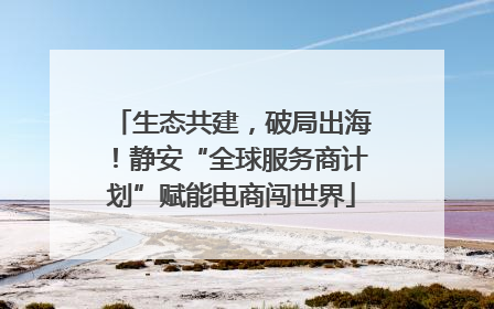 生态共建，破局出海！静安“全球服务商计划”赋能电商闯世界