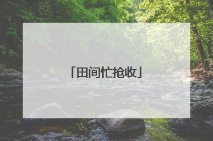 田间忙抢收