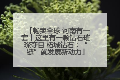 畅卖全球 河南有一套丨这里有一颗钻石璀璨夺目 柘城钻石：“链”就发展新动力
