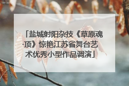 盐城射阳杂技《草原魂·顶》惊艳江苏省舞台艺术优秀小型作品调演