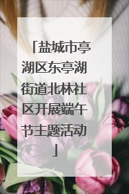 盐城市亭湖区东亭湖街道北林社区开展端午节主题活动