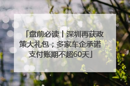 盘前必读丨深圳再获政策大礼包；多家车企承诺支付账期不超60天