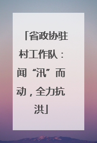 省政协驻村工作队：闻“汛”而动，全力抗洪