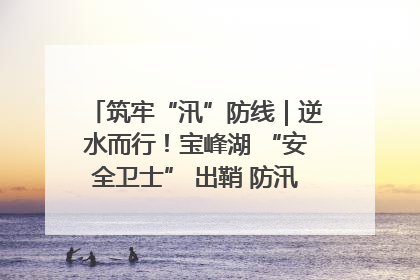 筑牢“汛”防线｜逆水而行！宝峰湖 “安全卫士” 出鞘 防汛应急再添硬核力量