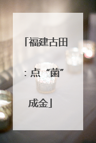 福建古田：点“菌”成金