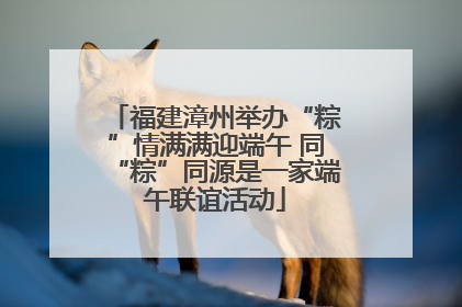 福建漳州举办“粽”情满满迎端午 同“粽”同源是一家端午联谊活动
