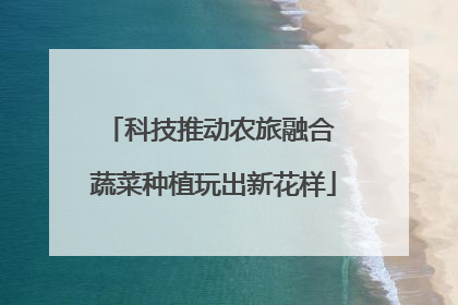 科技推动农旅融合 蔬菜种植玩出新花样