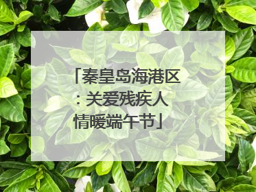 秦皇岛海港区：关爱残疾人 情暖端午节