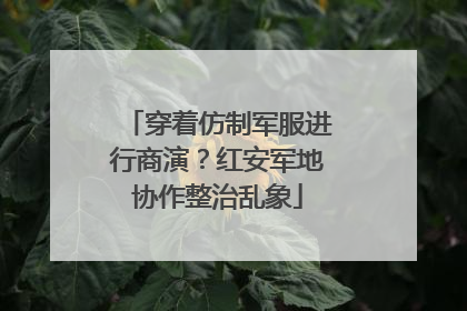 穿着仿制军服进行商演？红安军地协作整治乱象