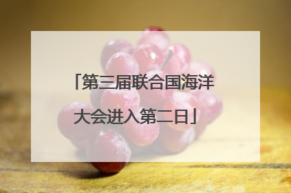 第三届联合国海洋大会进入第二日