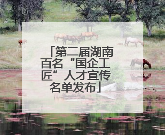 第二届湖南百名“国企工匠”人才宣传名单发布