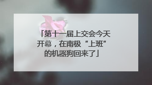 第十一届上交会今天开幕，在南极“上班”的机器狗回来了