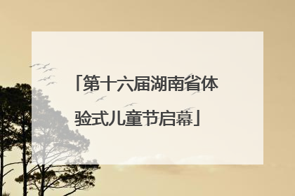 第十六届湖南省体验式儿童节启幕