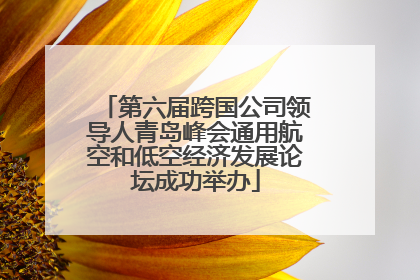 第六届跨国公司领导人青岛峰会通用航空和低空经济发展论坛成功举办