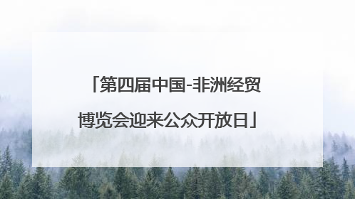 第四届中国-非洲经贸博览会迎来公众开放日
