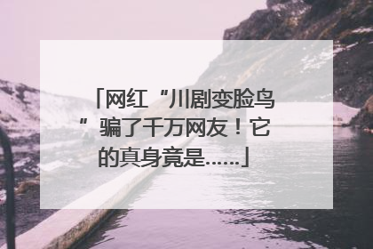网红“川剧变脸鸟”骗了千万网友！它的真身竟是……
