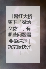 网红大桥底下“圈地收费”，有哪些问题需要说清楚｜新京报快评