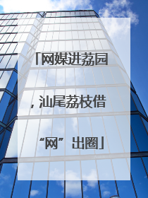 网媒进荔园，汕尾荔枝借“网”出圈