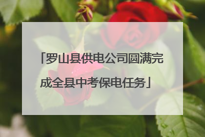 罗山县供电公司圆满完成全县中考保电任务
