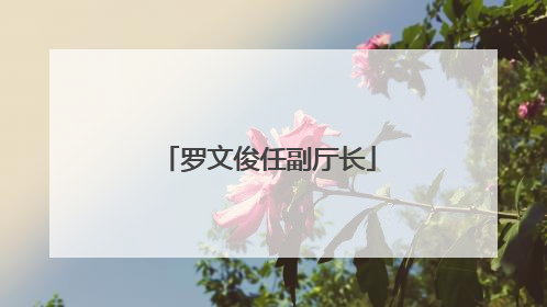 罗文俊任副厅长