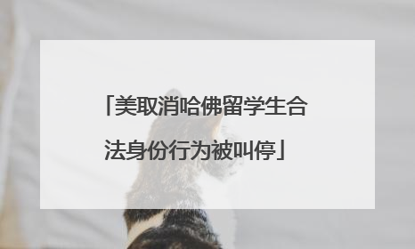 美取消哈佛留学生合法身份行为被叫停