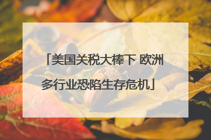 美国关税大棒下 欧洲多行业恐陷生存危机