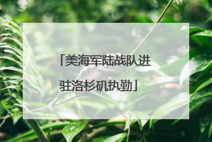 美海军陆战队进驻洛杉矶执勤
