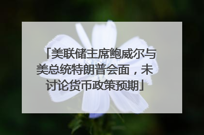 美联储主席鲍威尔与美总统特朗普会面，未讨论货币政策预期
