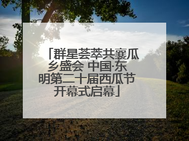 群星荟萃共襄瓜乡盛会 中国·东明第二十届西瓜节开幕式启幕