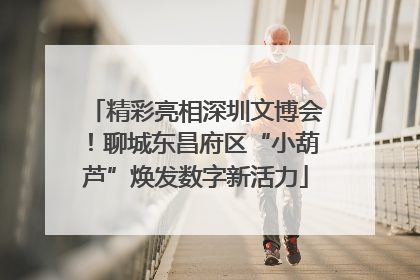 精彩亮相深圳文博会！聊城东昌府区“小葫芦”焕发数字新活力