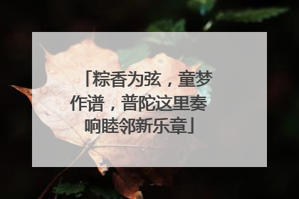 粽香为弦，童梦作谱，普陀这里奏响睦邻新乐章