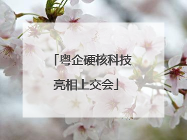 粤企硬核科技亮相上交会