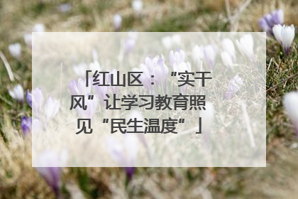 红山区：“实干风”让学习教育照见“民生温度”