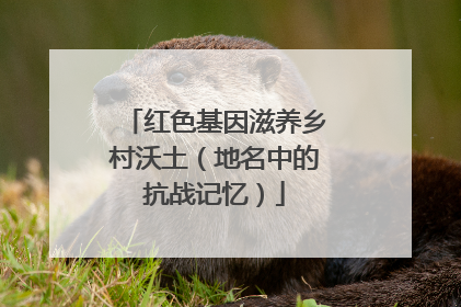 红色基因滋养乡村沃土（地名中的抗战记忆）