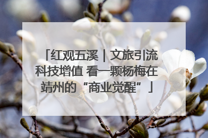 红观五溪｜文旅引流 科技增值 看一颗杨梅在靖州的“商业觉醒”