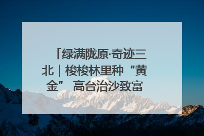绿满陇原·奇迹三北｜梭梭林里种“黄金” 高台治沙致富很“从容”