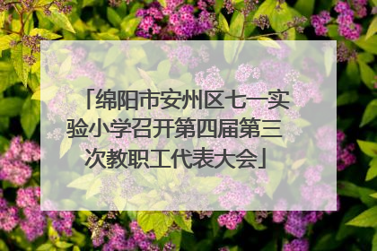 绵阳市安州区七一实验小学召开第四届第三次教职工代表大会