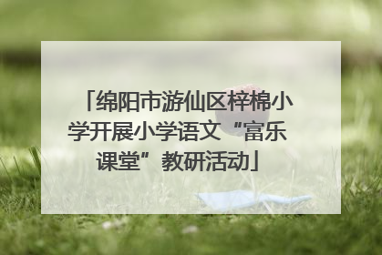 绵阳市游仙区梓棉小学开展小学语文“富乐课堂”教研活动