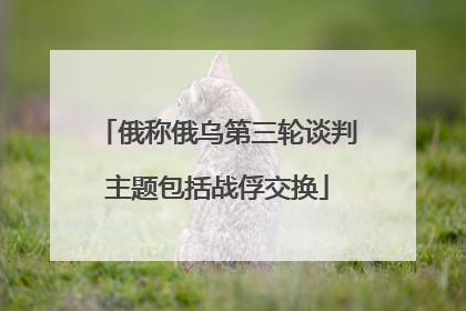 俄称俄乌第三轮谈判主题包括战俘交换
