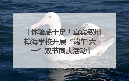 体验感十足！宜宾叙州樟海学校开展“端午·六一”双节同庆活动