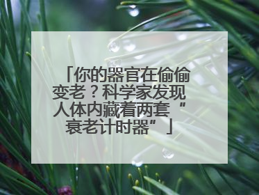你的器官在偷偷变老？科学家发现人体内藏着两套“衰老计时器”