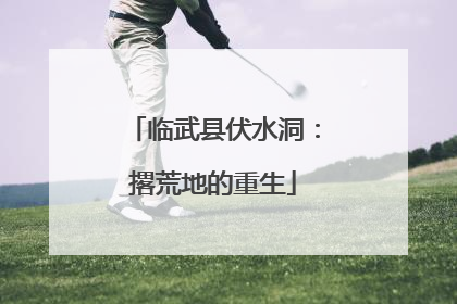 临武县伏水洞：撂荒地的重生