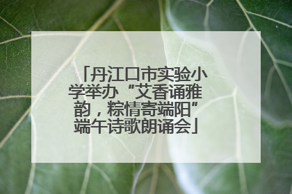 丹江口市实验小学举办“艾香诵雅韵，粽情寄端阳”端午诗歌朗诵会