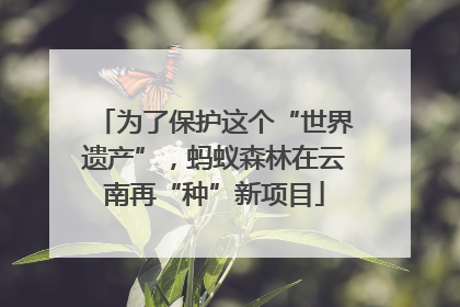 为了保护这个“世界遗产”，蚂蚁森林在云南再“种”新项目