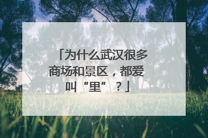 为什么武汉很多商场和景区，都爱叫“里”？