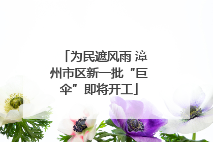 为民遮风雨 漳州市区新一批“巨伞”即将开工